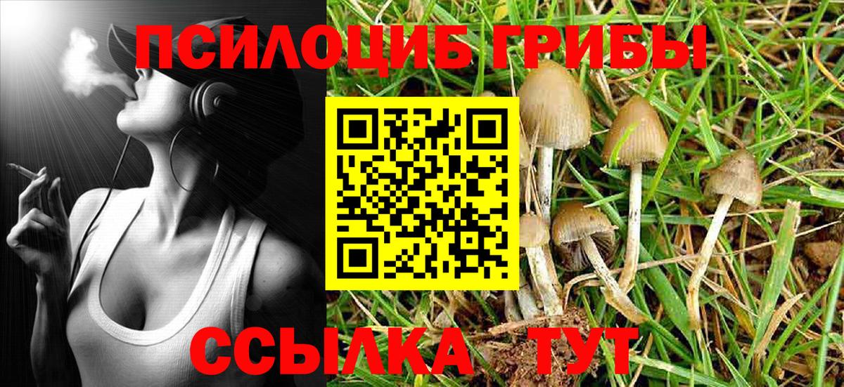 Дзержинский  Псилоцибиновые грибы GOLDEN TEACHER  Псилоцибиновые грибы MAGIC MUSHROOMS  Вход с VPN 